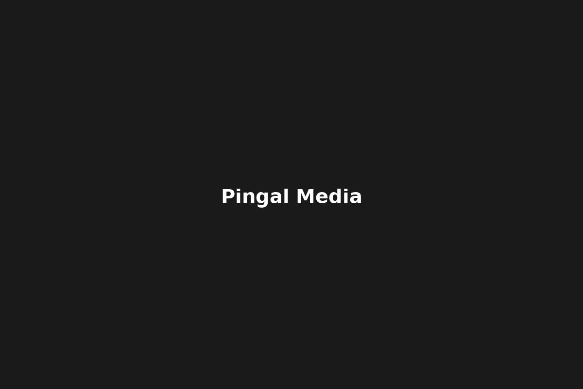Pingal Media Innovations